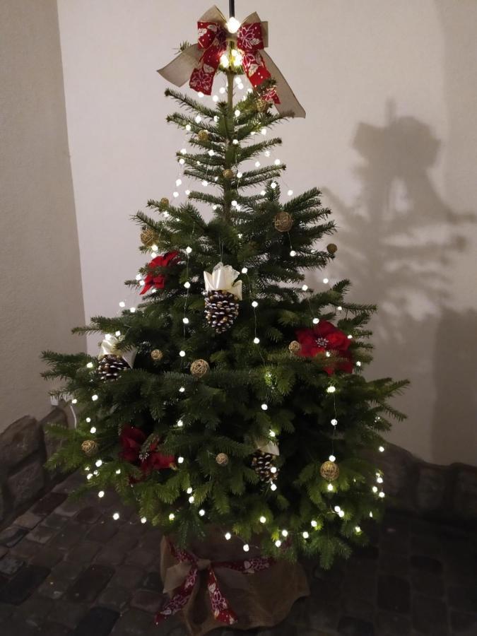 Appartamento Rynok 25 Elite Lviv Center Esterno foto